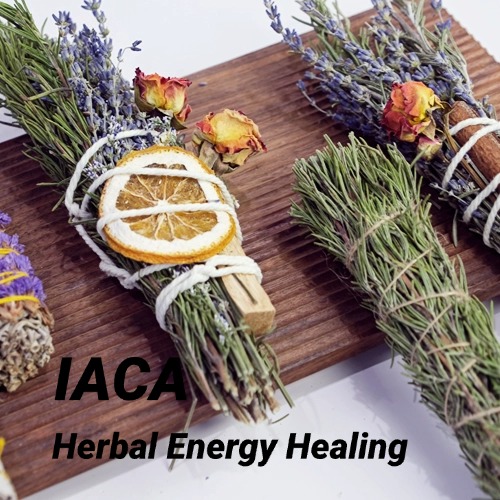 Sacred Plant Purification Smudge Sticks