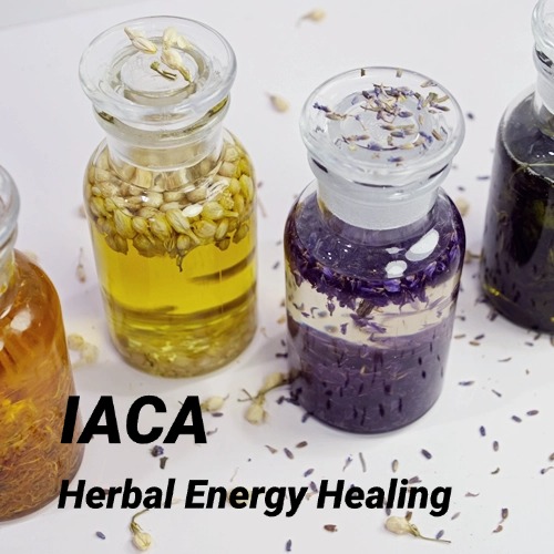 Botanical Energy-Infused Ritual Oils